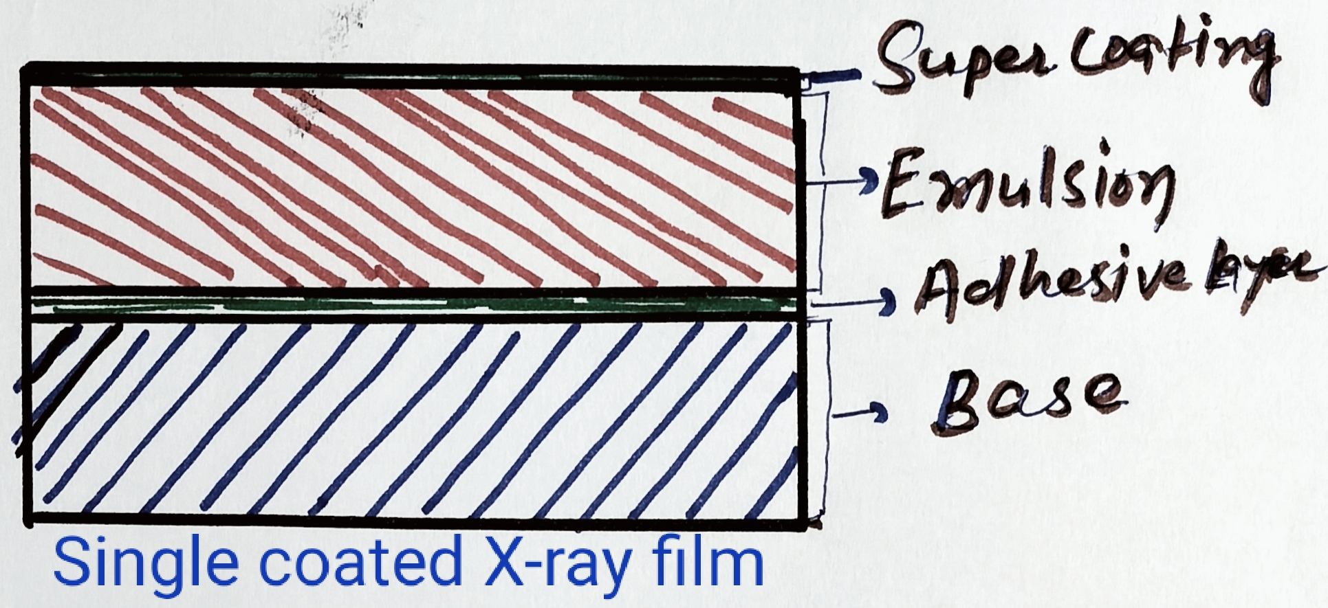 Darkroom procedures in xray department Bloggjhedu