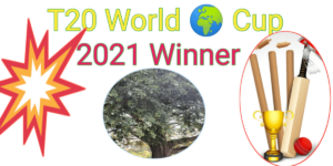 T20 World Cup 2021 Winner