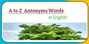Antonyms  word in english 