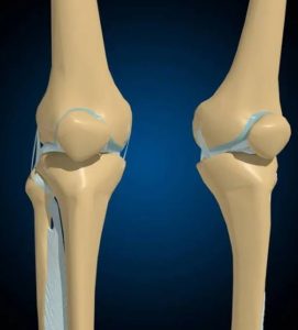 How many types of Joints 